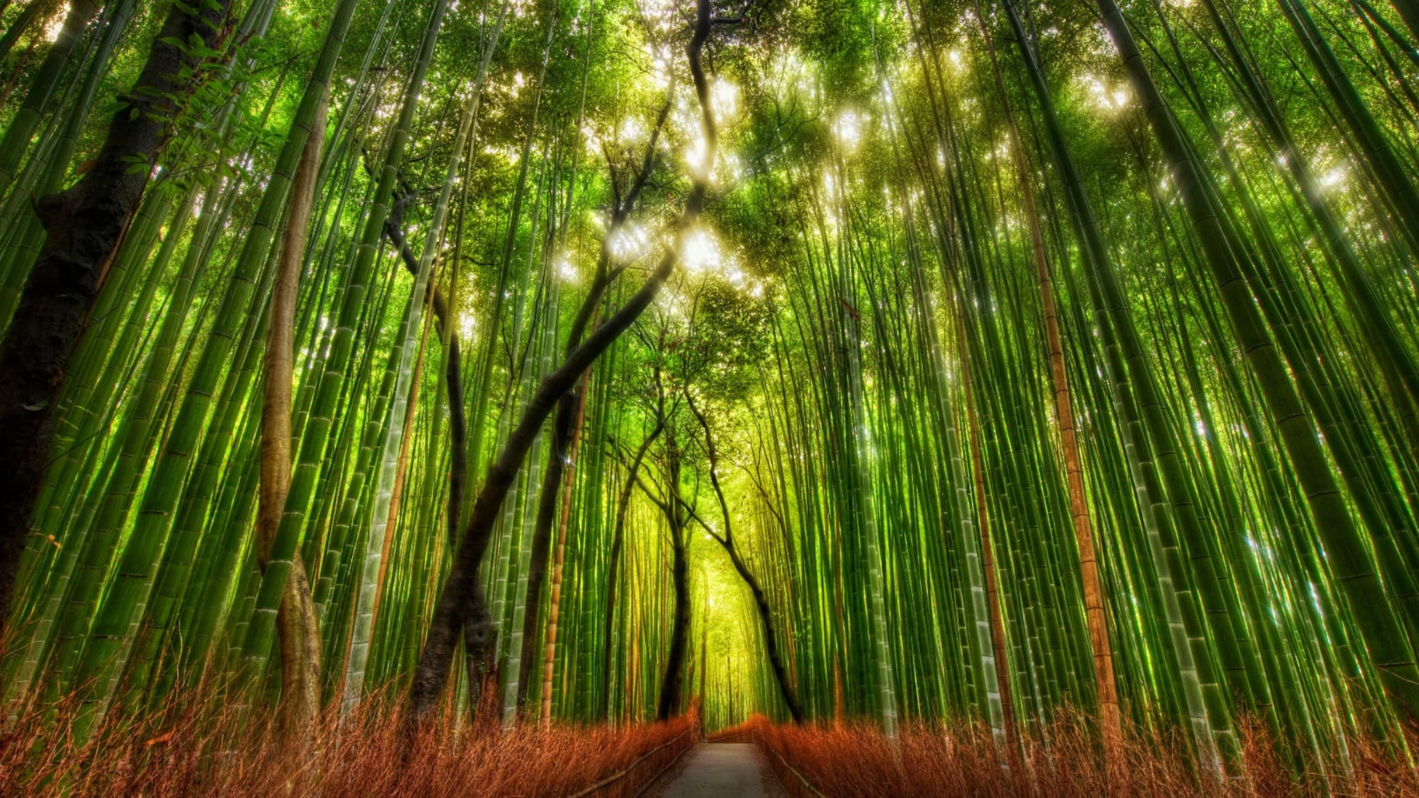 Pesta Kesenian Bali XLVII (development)a